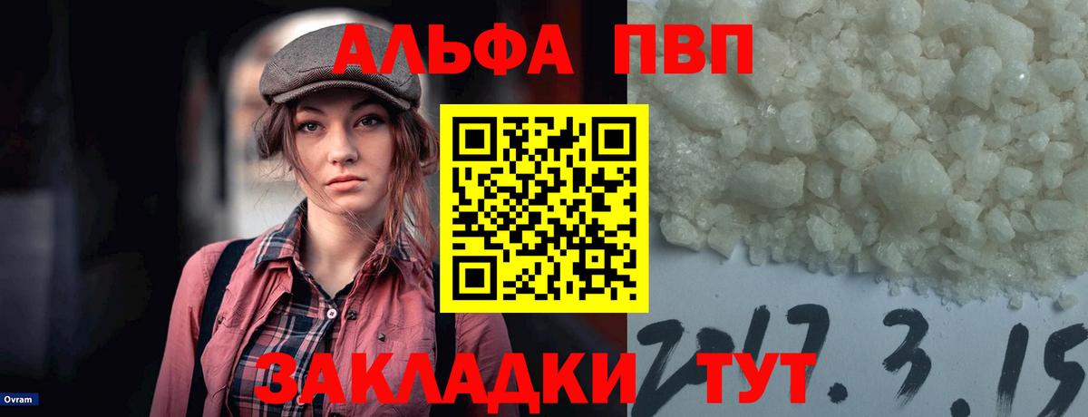 Альфа ПВП СК Новочеркасск