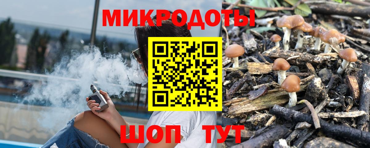 Псилоцибиновые грибы мицелий  Вход с VPN  Новочеркасск 